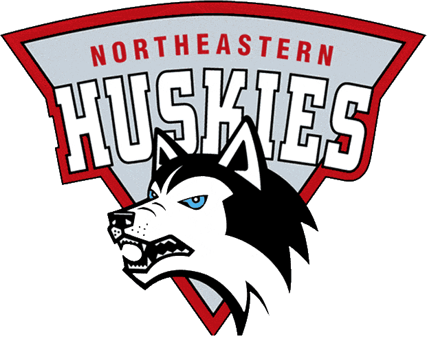 Northeastern Huskies 1992-2000 Primary Logo diy iron on heat transfer